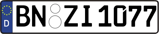 BN-ZI1077