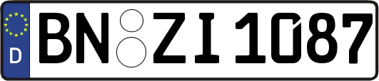 BN-ZI1087