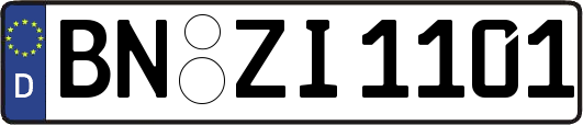 BN-ZI1101