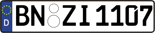 BN-ZI1107
