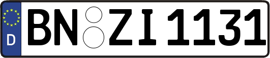 BN-ZI1131