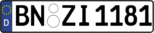 BN-ZI1181