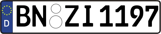 BN-ZI1197