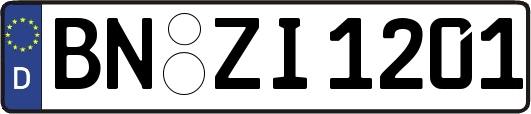 BN-ZI1201