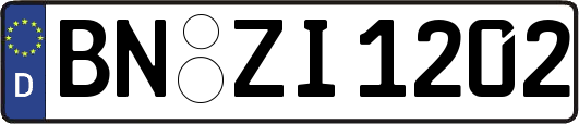 BN-ZI1202