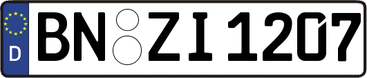 BN-ZI1207