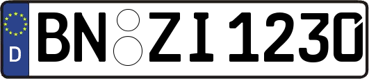 BN-ZI1230