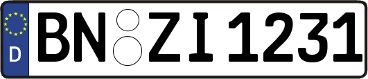 BN-ZI1231