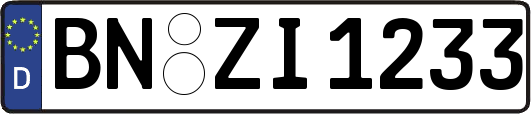 BN-ZI1233
