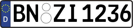 BN-ZI1236