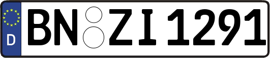 BN-ZI1291