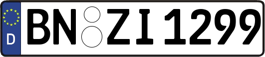 BN-ZI1299
