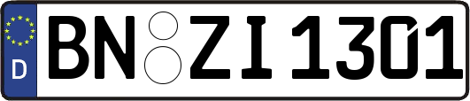 BN-ZI1301