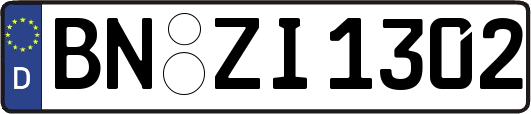 BN-ZI1302