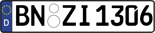 BN-ZI1306