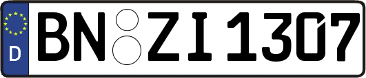 BN-ZI1307