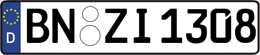 BN-ZI1308