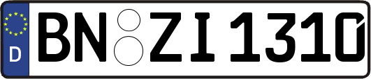 BN-ZI1310