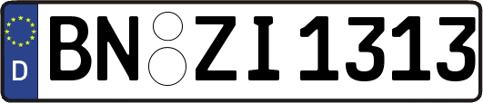 BN-ZI1313