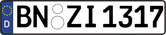 BN-ZI1317