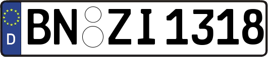 BN-ZI1318