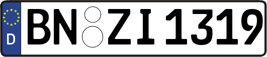 BN-ZI1319
