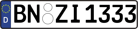 BN-ZI1333