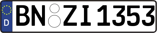 BN-ZI1353