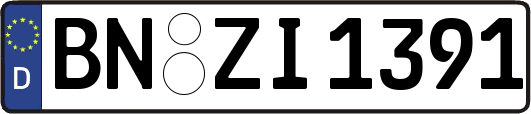 BN-ZI1391