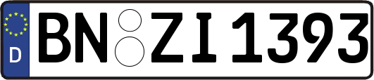 BN-ZI1393