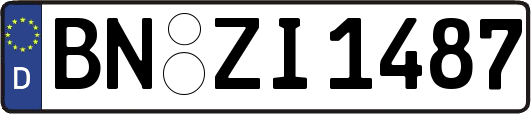 BN-ZI1487
