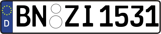 BN-ZI1531
