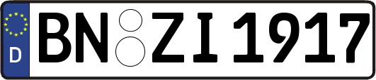 BN-ZI1917