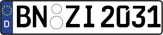 BN-ZI2031