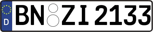 BN-ZI2133