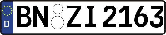 BN-ZI2163