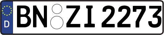 BN-ZI2273