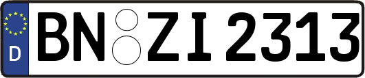 BN-ZI2313