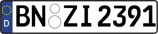 BN-ZI2391