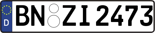 BN-ZI2473