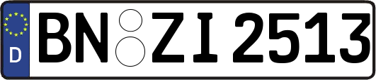 BN-ZI2513