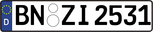 BN-ZI2531