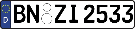 BN-ZI2533