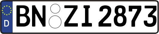 BN-ZI2873