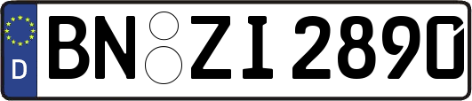 BN-ZI2890