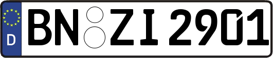 BN-ZI2901