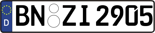 BN-ZI2905