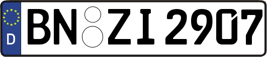BN-ZI2907