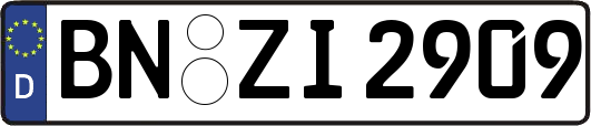 BN-ZI2909