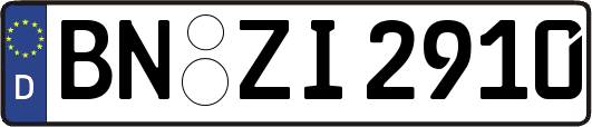 BN-ZI2910